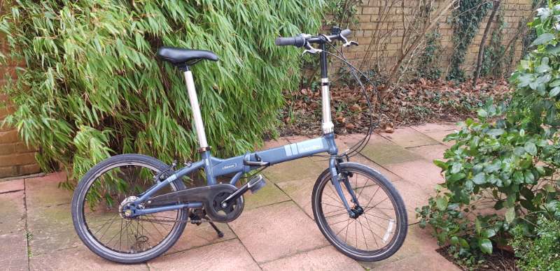 dahon gumtree